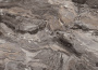 картинка МЕБЕЛЬНЫЙ ЩИТ 261 ПАЛАДИНА КОРИЧНЕВАЯ 4200*600*6мм от магазина комплектующих для производства мебели "Панорама"